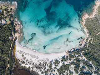 Aerial view of Grande Pevero Beach in Costa Smeralda,North Sardinia,Porto Cervo