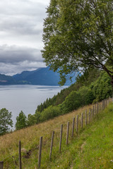 Beautiful Norwegian landscape. view of the fjords. Norway ideal fjord reflection in clear water. selective focus