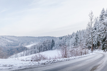 snow-covered street and a view of the forest