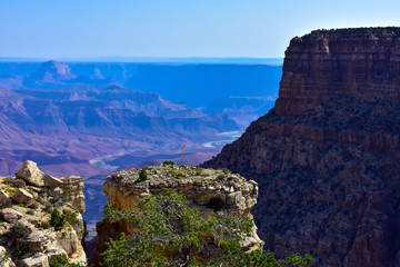 Fototapeta na wymiar South Rim of the Grand Canyon