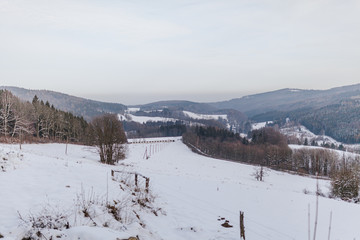 view of the forest and mountains covered with snow in winter