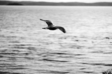 By the Docks, Lysaker, Oslo, Norway