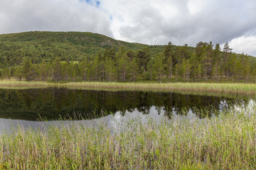 rural lake landscape, Norway, Olden, green hills seaside. fjord in summer. selective focus.