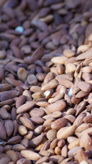 dry fruits, dry fruit, energy, health, protein, nutritious, edible, eat, vitamin, light, clean eating, fruit, dry, tasty, fresh, sweet, nut, snack, vegetarian, diet, ingredient, almond, nutrition, org