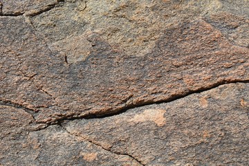 Rocks provide several important ecological roles in the Southern Mojave Desert of Joshua Tree National Park, including temperature regulation and shelter.
