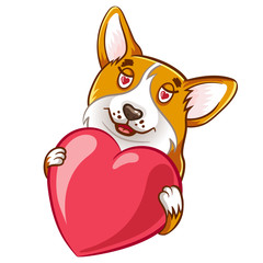 The Corgi holds a large pink heart in its paws and looks in love