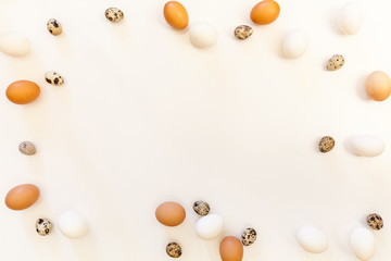 white and brown quail and chicken eggs on white background with plenty of space, copy space, laboratory for health and control, biological, hygienic examination cut out easter decoration..
