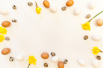 white and brown quail and chicken eggs and yellow daffodil flowers on white background with plenty of space, copy space, laboratory for health and control, biological, hygienic examination easter.