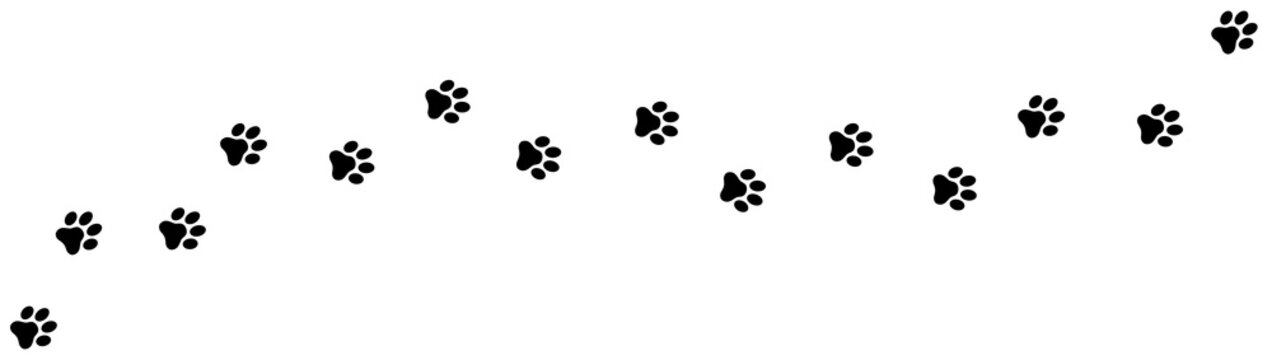 Paw print foot trail. Dog, cat paw print. Vector