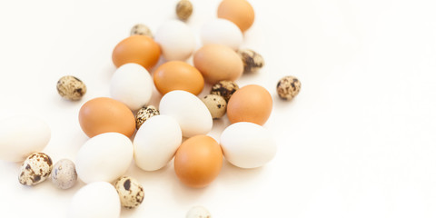 white and brown quail and chicken eggs on white background with plenty of space, copy space, laboratory for health and control, biological, hygienic examination cut out easter decoration.