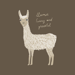 Drawn llama with text Llama funny and graceful. Childish tee shirt design.