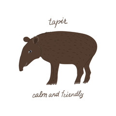 Drawn tapir with text Tapir calm and friendly. Childish tee shirt design.