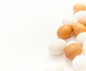 white and brown chicken eggs on white background with plenty of space, copy space, laboratory for health and control, biological, hygienic examination cut out