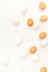 white and brown chicken eggs on white background with plenty of space, copy space, laboratory for health and control, biological, hygienic examination cut out