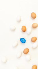 Fototapeta na wymiar single blue easter egg in the middle of white and brown chicken eggs on white background with plenty of space, copy space, laboratory for health and control, biological, hygienic, being different