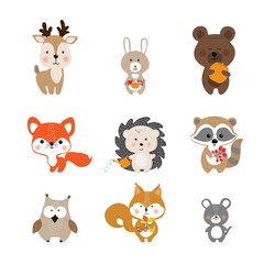 Set of vector cute forest animals in cartoon style. A collection of small animals in the children's style,isolated on a white background