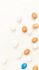 Fototapeta na wymiar single blue easter egg in the middle of white and brown chicken eggs on white background with plenty of space, copy space, laboratory for health and control, biological, hygienic, being different.