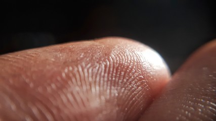 Macro fingerprint on black background.
