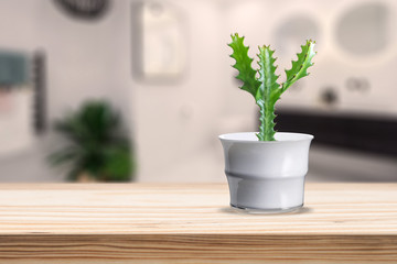 Cement Vase with cactus on vase pot on table