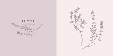Card with Thyme. Vector sketches hand drawn illustration