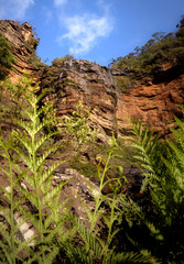Wentworth Falls, Blue Mountains Australia