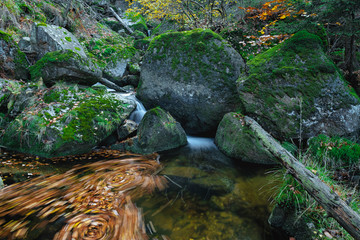 Beautiful autumn creek, Stolpich, Jizerske mountains Czech Republic