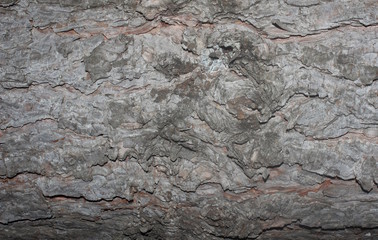 texture, stone, bark, tree, rock, pattern, wall, abstract, textured, wood, old, nature, rough, surface, brown, material, natural, grunge, concrete, backgrounds, granite, grey, detail, gray, closeup