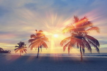 Colorful sunrise and huge palm trees on the beach in the Dominican Republic