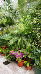 Fototapeta na wymiar Green Plants Planted in Botanical Garden