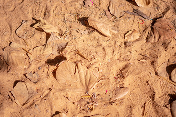 old wood texture
