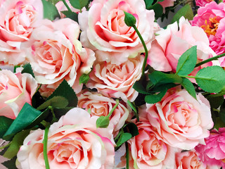 Background of Artificial Pink and White Roses