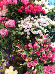 Many Blooming Flowers  in a Flower Shop