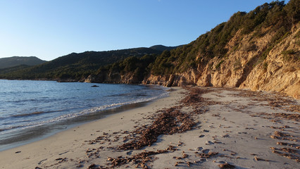 personne sur la plage - Corse