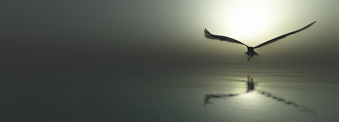 Eagle flying flush with water