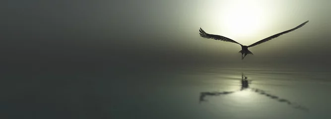Deurstickers Adelaar vliegt gelijk met water © juanjo