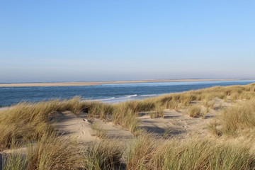 Fototapeta na wymiar Dunes plage Bassin Arcachon
