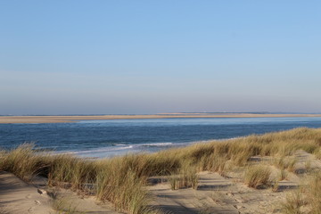 Fototapeta na wymiar Dunes plage Bassin Arcachon