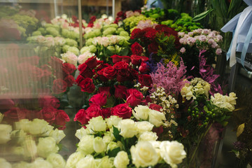 Different varieties fresh spring flowers in refrigerator room for flowers. Beautiful flowers in...