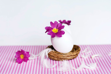 Easter Decoration - Pink Primrose Flowers   in an Egg Shell 