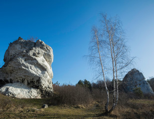skała i brzozy © Mariusz Sowula