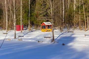 Tall forest trees on the banks of a frozen snow-covered river. Winter sunny landscape. Reflection of trees in the snow. Recreation area with benches in the forest near the river.