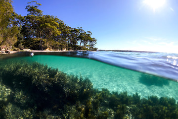 Underwater paradise, Jervis Bay, Australia