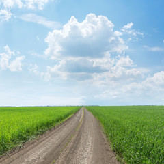 rural road in green grass field and low clouds in blue sky