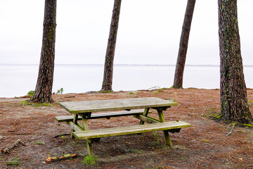 wood bench and wooden table on lake side in Sanguinet