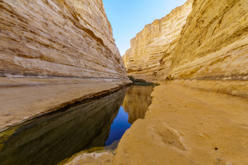Canyon of Ein Avdat National Park, the Negev Desert