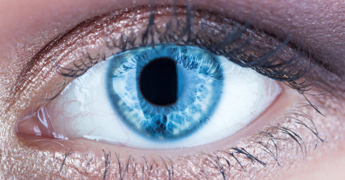 Macro pupil retina human colse eye, eyeball. Female eyes with long eyelashes close up. Macro of human eye. Closeup of blue human eye. Human eyes close-up detail