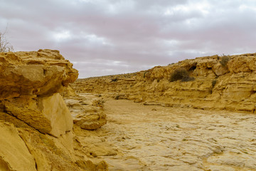 Landscape of a wadi in Ein Avdat National Park