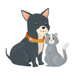 cute cat and dog animals isolated icon