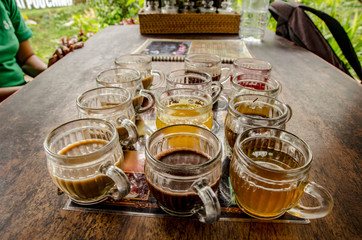 Muestras de tè de diferentes sabores en una parada de ecoturismo en Ubud, Bali 