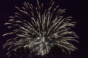 Fototapeta premium fireworks in the sky